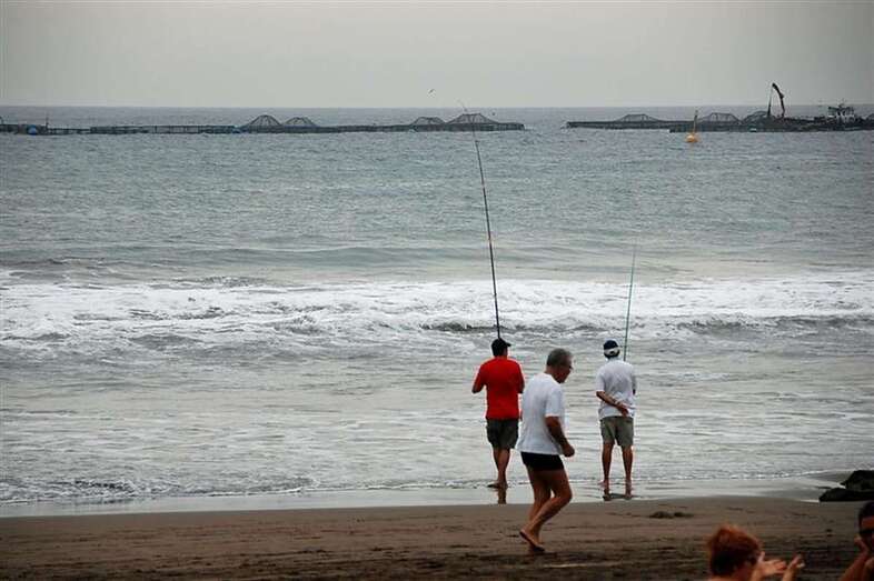 Jaulas marinas situadas frente a la punta de Salinetas (Foto TA)